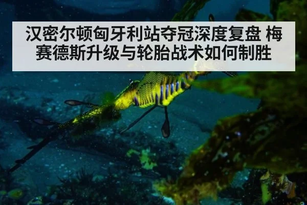 汉密尔顿匈牙利站夺冠深度复盘 梅赛德斯升级与轮胎战术如何制胜